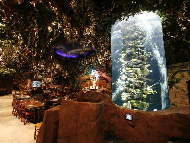 レインフォレストカフェ･トーキョーのアルバイト・バイト求人情報-03