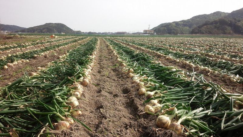 株式会社善太の求人・転職情報