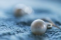 株式会社インター･ベルの求人・転職情報