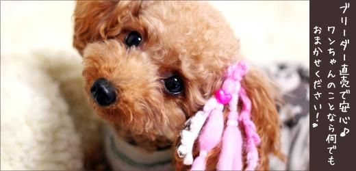 株式会社オレンジハウスのアルバイト・バイト求人情報-01