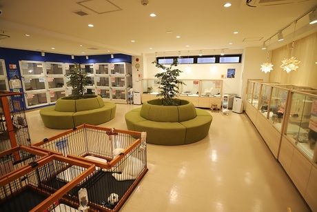 Coo&RIKU(クーアンドリク)　所沢店のアルバイト・バイト求人情報-04