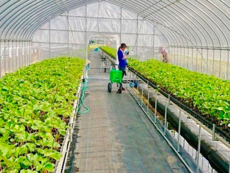 株式会社UEDAの求人・転職情報