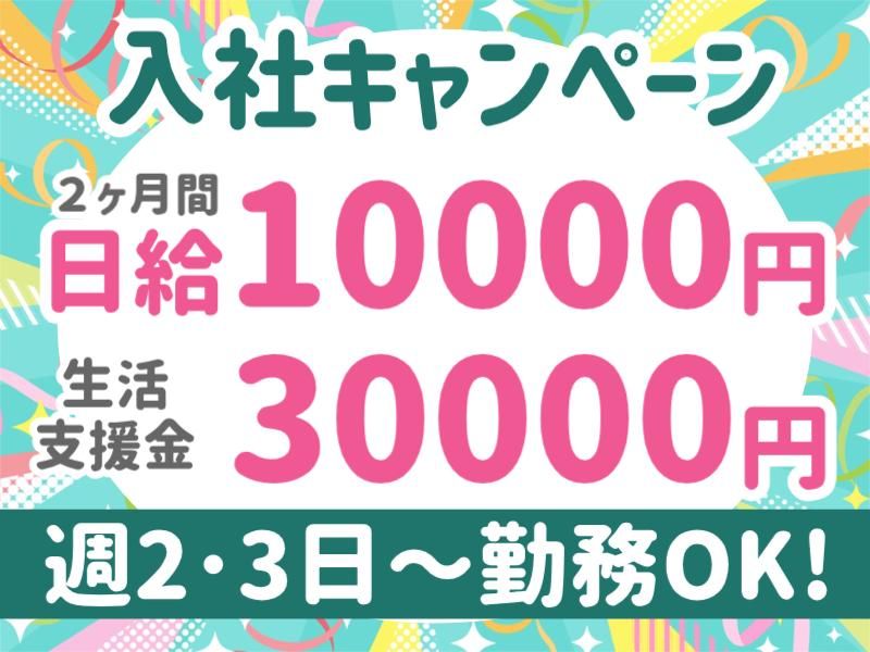 株式会社パルズパートナー