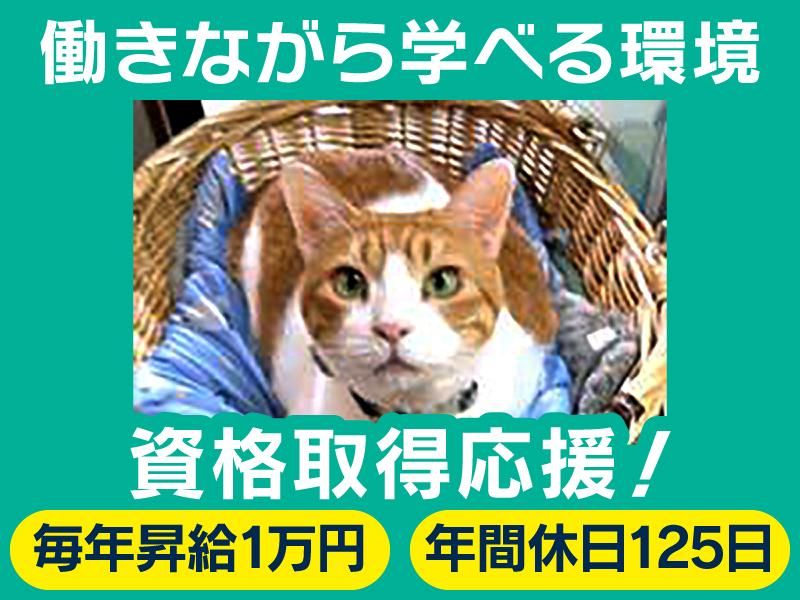 中川会計事務所の求人・転職情報