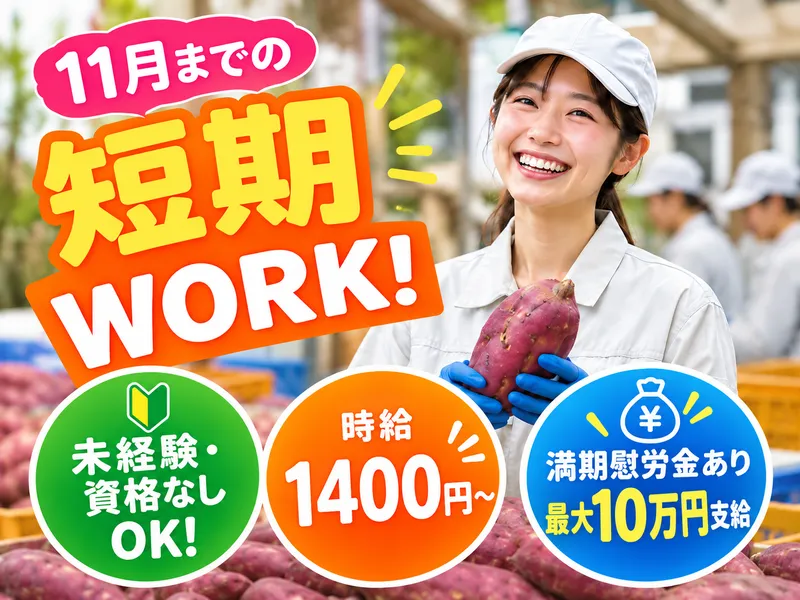 株式会社アシストジャパンB3752-5-5 KG