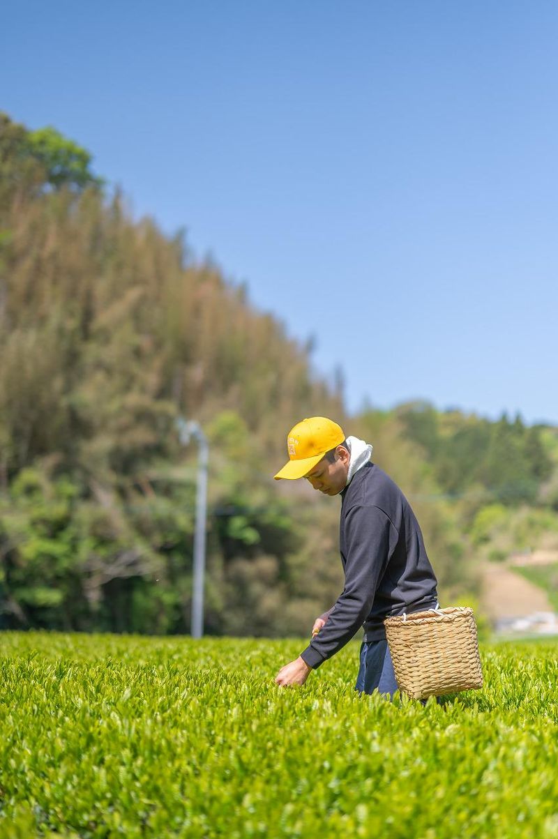 佐々木製茶株式会社(Shop&Cafe茶の庭)のアルバイト・バイト求人情報-03
