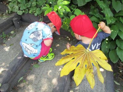 社会福祉法人たすけあい　ゆい-0003の求人・転職情報