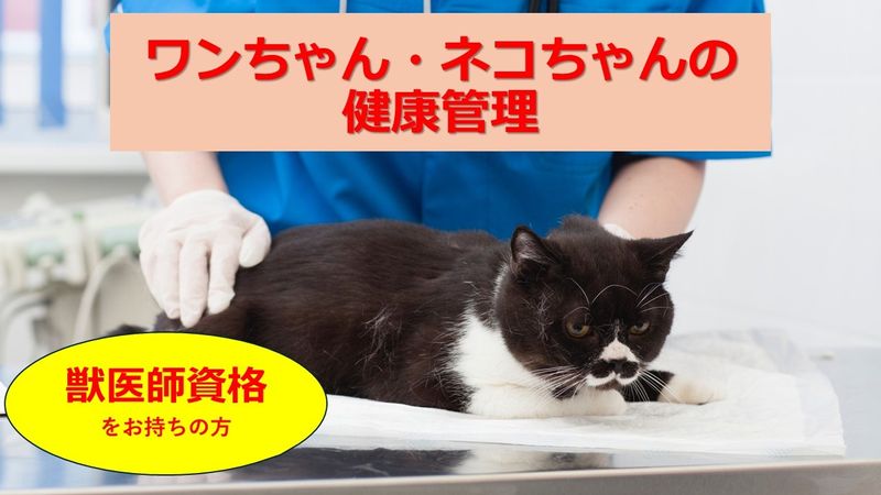 Aplus株式会社のアルバイト・バイト求人情報-03