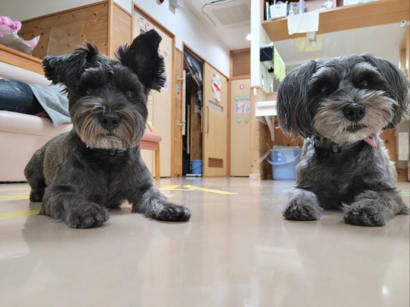 上原医院通所リハビリテーションの求人・転職情報-03