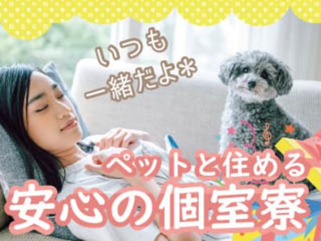 株式会社平山の求人・転職情報