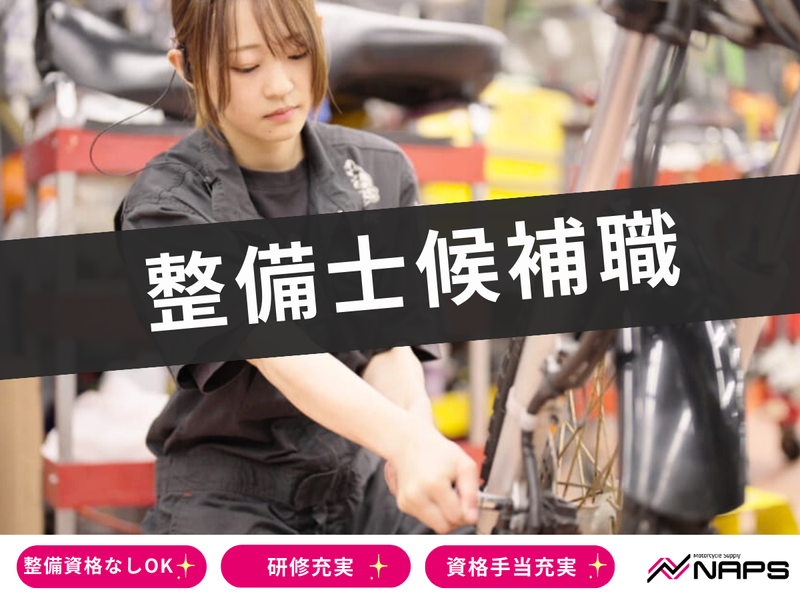 株式会社ナップス