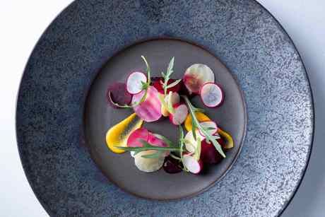 株式会社WDI JAPANの求人・転職情報