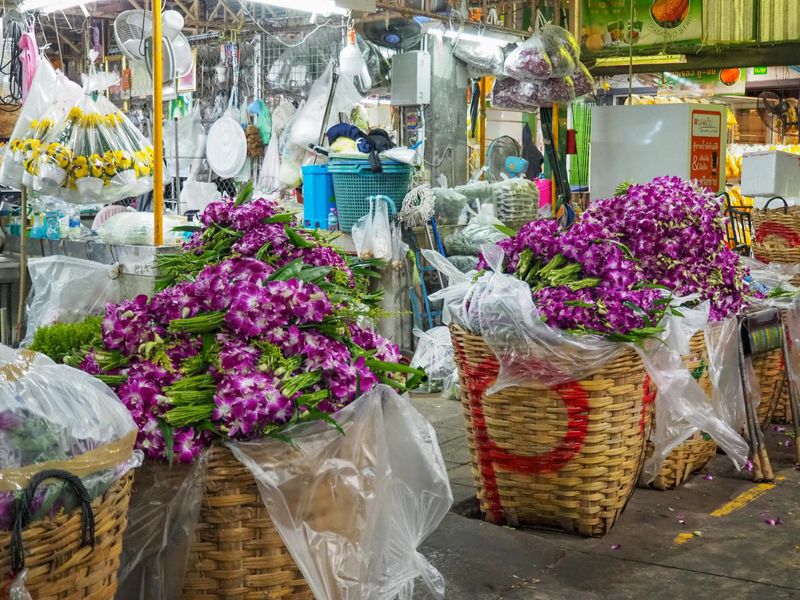 有限会社モンキーポッドの求人・転職情報