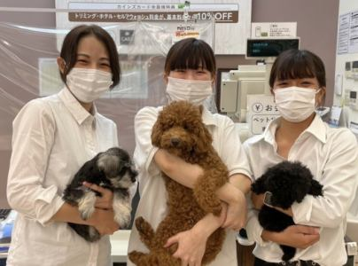 DCM大洲店　動物の森のアルバイト・バイト求人情報-02