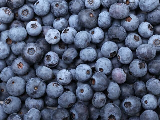 JAとうかつ中央のアルバイト・バイト求人情報-20