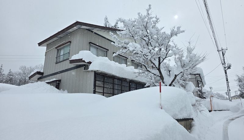 有限会社クロニックの求人・転職情報