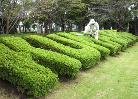 富士通ホーム&オフィスサービス　館林システムセンターの求人1