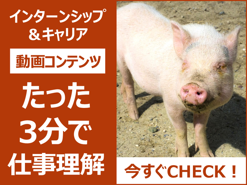 株式会社セキネ