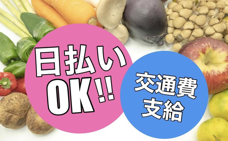 キャリアリンクファクトリー株式会社/KT20617