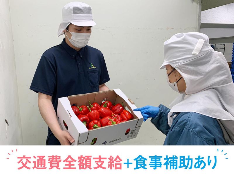 株式会社RAG東京　大阪支店　市場内のアルバイト・バイト求人情報-04